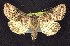 ( - CNCNoctuoidea7680)  @14 [ ] Unspecified (default): All Rights Reserved  Unspecified Unspecified