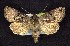 ( - CNCNoctuoidea7682)  @13 [ ] Unspecified (default): All Rights Reserved  Unspecified Unspecified