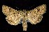  ( - CNCNoctuoidea7719)  @13 [ ] Unspecified (default): All Rights Reserved  Unspecified Unspecified