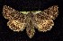  ( - CNCNoctuoidea7733)  @13 [ ] Unspecified (default): All Rights Reserved  Unspecified Unspecified