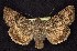  ( - CNCNoctuoidea7735)  @13 [ ] Unspecified (default): All Rights Reserved  Unspecified Unspecified