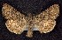  ( - CNCNoctuoidea7736)  @13 [ ] Unspecified (default): All Rights Reserved  Unspecified Unspecified