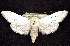  ( - CNCNoctuoidea7739)  @14 [ ] Unspecified (default): All Rights Reserved  Unspecified Unspecified