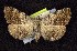  ( - CNCNoctuoidea7756)  @14 [ ] Unspecified (default): All Rights Reserved  Unspecified Unspecified