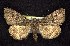  ( - CNCNoctuoidea7762)  @13 [ ] Unspecified (default): All Rights Reserved  Unspecified Unspecified
