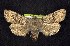  ( - CNCNoctuoidea7837)  @13 [ ] Unspecified (default): All Rights Reserved  Unspecified Unspecified
