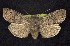  ( - CNCNoctuoidea7838)  @13 [ ] Unspecified (default): All Rights Reserved  Unspecified Unspecified