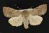 ( - CNCNoctuoidea13715)  @14 [ ] Unspecified (default): All Rights Reserved  Unspecified Unspecified