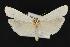  ( - CNCNoctuoidea13911)  @13 [ ] Unspecified (default): All Rights Reserved  Unspecified Unspecified