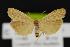  ( - CNCNoctuoidea13921)  @13 [ ] Unspecified (default): All Rights Reserved  Unspecified Unspecified