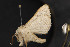  ( - CNC LEP 00047421)  @11 [ ] Unspecified (default): All Rights Reserved  Unspecified Unspecified