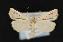  ( - CNC LEP 00047422)  @13 [ ] Unspecified (default): All Rights Reserved  Unspecified Unspecified