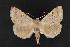  ( - CNC LEP 00047428)  @13 [ ] Unspecified (default): All Rights Reserved  Unspecified Unspecified