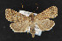  ( - CNC LEP 00047429)  @14 [ ] Unspecified (default): All Rights Reserved  Unspecified Unspecified