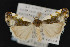  ( - CNC LEP 00047433)  @14 [ ] Unspecified (default): All Rights Reserved  Unspecified Unspecified