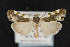  ( - CNC LEP 00047435)  @14 [ ] Unspecified (default): All Rights Reserved  Unspecified Unspecified