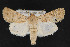  ( - CNC LEP 00047447)  @14 [ ] Unspecified (default): All Rights Reserved  Unspecified Unspecified