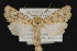  ( - CNC LEP 00047453)  @11 [ ] Unspecified (default): All Rights Reserved  Unspecified Unspecified