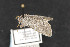  ( - CNC LEP 00047459)  @12 [ ] Unspecified (default): All Rights Reserved  Unspecified Unspecified