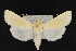  ( - CNC LEP 00047460)  @11 [ ] Unspecified (default): All Rights Reserved  Unspecified Unspecified