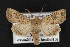  ( - CNC LEP 00047487)  @14 [ ] Unspecified (default): All Rights Reserved  Unspecified Unspecified