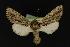  ( - NOC14002)  @13 [ ] Unspecified (default): All Rights Reserved  Unspecified Unspecified