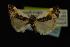  ( - NOC14019)  @13 [ ] Unspecified (default): All Rights Reserved  Unspecified Unspecified