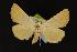  ( - NOC14034)  @13 [ ] Unspecified (default): All Rights Reserved  Unspecified Unspecified