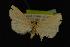 ( - NOC14041)  @13 [ ] Unspecified (default): All Rights Reserved  Unspecified Unspecified