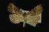  ( - NOC14052)  @13 [ ] Unspecified (default): All Rights Reserved  Unspecified Unspecified