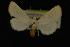  ( - NOC14053)  @13 [ ] Unspecified (default): All Rights Reserved  Unspecified Unspecified