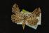  ( - NOC14054)  @13 [ ] Unspecified (default): All Rights Reserved  Unspecified Unspecified