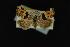  (Cobubatha sp. 1 nr. orthozona - NOC14074)  @13 [ ] Unspecified (default): All Rights Reserved  Unspecified Unspecified