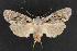  ( - NOC14282)  @13 [ ] Unspecified (default): All Rights Reserved  Unspecified Unspecified