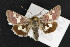  ( - NOC14283)  @11 [ ] Unspecified (default): All Rights Reserved  Unspecified Unspecified