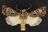  ( - NOC14285)  @14 [ ] Unspecified (default): All Rights Reserved  Unspecified Unspecified