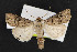  ( - NOC14286)  @14 [ ] Unspecified (default): All Rights Reserved  Unspecified Unspecified
