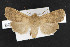  ( - NOC14296)  @15 [ ] Unspecified (default): All Rights Reserved  Unspecified Unspecified