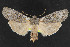  ( - NOC14298)  @13 [ ] Unspecified (default): All Rights Reserved  Unspecified Unspecified