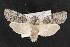  ( - NOC14301)  @13 [ ] Unspecified (default): All Rights Reserved  Unspecified Unspecified