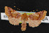  ( - NOC14312)  @15 [ ] Unspecified (default): All Rights Reserved  Unspecified Unspecified