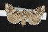  ( - NOC14323)  @14 [ ] Unspecified (default): All Rights Reserved  Unspecified Unspecified