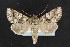  ( - NOC14324)  @14 [ ] Unspecified (default): All Rights Reserved  Unspecified Unspecified