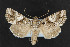  ( - NOC14325)  @14 [ ] Unspecified (default): All Rights Reserved  Unspecified Unspecified