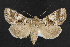  ( - NOC14327)  @14 [ ] Unspecified (default): All Rights Reserved  Unspecified Unspecified