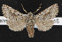  ( - NOC14346)  @14 [ ] Unspecified (default): All Rights Reserved  Unspecified Unspecified