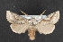  ( - NOC14349)  @13 [ ] Unspecified (default): All Rights Reserved  Unspecified Unspecified