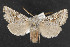  ( - NOC14350)  @14 [ ] Unspecified (default): All Rights Reserved  Unspecified Unspecified