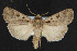  ( - NOC14376)  @13 [ ] Unspecified (default): All Rights Reserved  Unspecified Unspecified