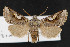  ( - NOC14378)  @11 [ ] Unspecified (default): All Rights Reserved  Unspecified Unspecified